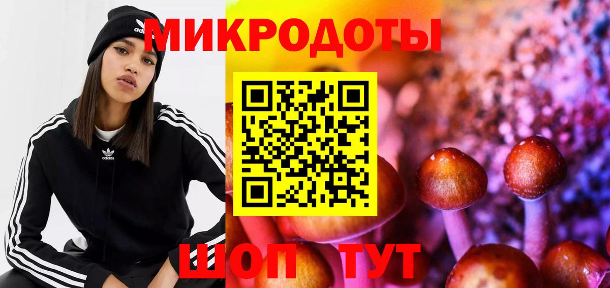 Котельники  Галлюциногенные грибы мухоморы  Галлюциногенные грибы GOLDEN TEACHER  Вход с VPN 